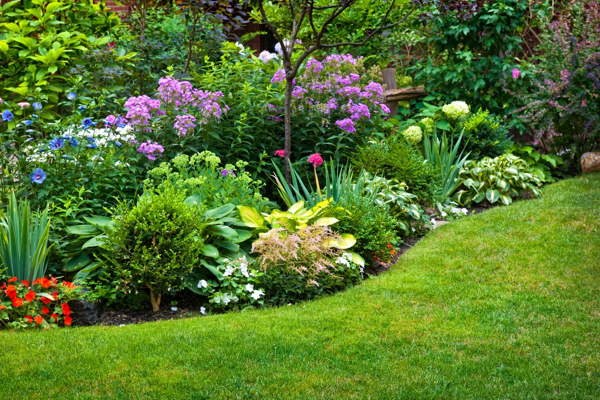 De week van de groene tuin
