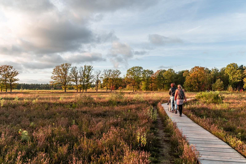 Baroniepoorten in de omgeving van Breda